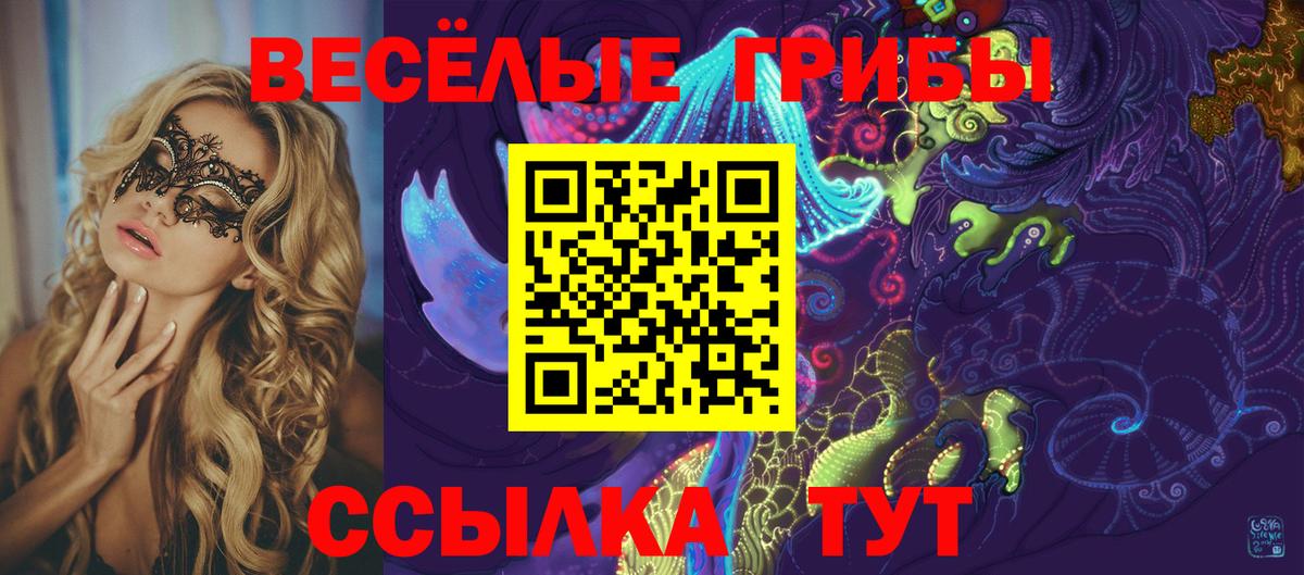 Псилоцибиновые грибы Psilocybe Шелехов